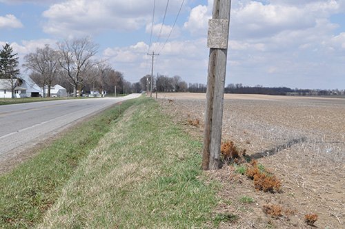 Property photo 1 - INDIANA LAND AUCTION, 126+/- Acres offered in 1 Tract